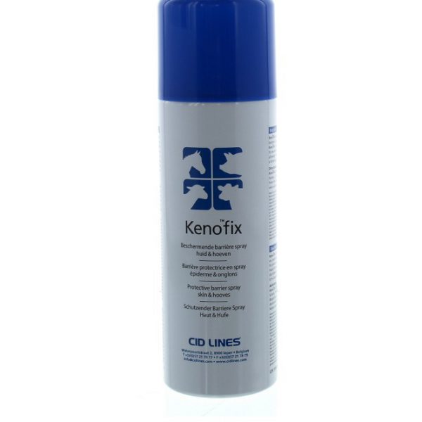 Kenofix Spray 300ml_110580